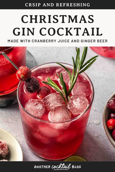 Made with cranberry juice, maple syrup and a splash of ginger beer, this Christmas gin cocktail is crisp and refreshing. We've garnished it with fresh rosemary and sugared cranberries for a festive, vibrant cocktail that will be the hit of your holiday gathering. Festive Gin Cocktails, Red Christmas Cocktails, Cranberry Ginger Ale Cocktail, Christmas Cocktails Gin, Cranberry Juice Cocktails, Cranberry Gin Cocktail, Ginger Ale Cocktail, Cranberry Ginger Ale, Xmas Cocktails