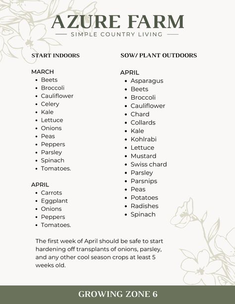 Seeds To Start In March And April - Azure Farm Seeds To Start In March, Starting Seeds Outdoors, Azure Farm, Always Judging, Zone 9, Carrots And Potatoes, Veg Garden, Seasonal Garden, Gardening Gloves