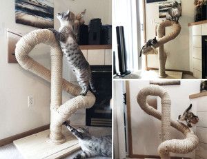 CatastrophicClimbers1 Katt Diy, Cat Tree Plans, Katt Grejer, Kat Diy, Cat Climber, Cool Cat Trees, Diy Cat Tree, Tree Plan, Cat House Diy