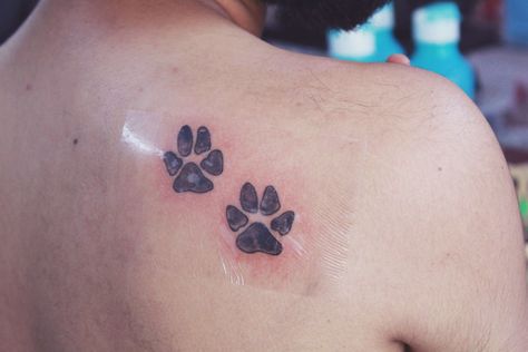 Dog,pet,paw,black work,animal,love,shoulder blade,tattoo Paws Tattoo Ideas, Paws Tattoo, Paw Tattoos, Cat Paw Tattoos, Mandala Tattoo Ideas, Bear Paw Print, Shoulder Blade Tattoo, Pawprint Tattoo, Dog Paw Tattoo