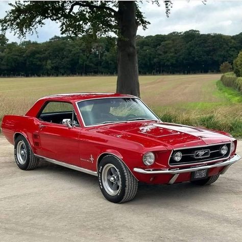 1967 Ford Mustang Coupe Interior Car Cleaning, Aesthetic Car Accessories, Rolls Royce Car, Rolls Royce Ghost, Ford Mustang 1967, Royce Car, Tokyo Drift Cars, Hd Photography, Mustang Sally