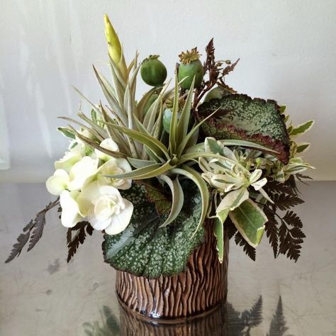 Masculine Floral Arrangement of Tillandsia, white begonia, poppy pods, Snow on the Mountain and Rex Begonia leaves. By Fiori Floral Design, Seattle Masculine Arrangements, Masculine Florals, Masculine Floral Arrangements, Masculine Flowers, Begonia Leaves, Windows Flowers, Floral Arrangements For Home, Snow On The Mountain, Sunflower Floral Arrangements