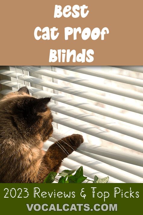 16 Best Cat Proof Blinds: 2023 Reviews & Top Picks, Cat Proof Blinds Window Treatments, Cat Proof Window Blinds, Pet Proof Blinds, Cat Proof Window Treatments, Cat Proof Window Coverings, Cat Friendly Blinds, Cat Friendly Window Blinds, Best Blinds For Cats, Faux Wood Blinds, Faux Wood Blinds White, Faux Wood Blinds Large Window, Real Wood Blinds, Real Wood Blinds for Windows, How to Keep Cats Out Of Blinds, Kitten, Cute kitten, Tiny cats, Cute kitty, Cute kitties, Cute kittens Cat Proof Window Blinds, Cat Proof Window Coverings, Cat Proof Window Treatments, Alternatives To Blinds, Cat Proof Curtains, Cat Friendly Window Treatments, Cat Proof Window, Wood Blinds For Windows, Window Shutter Blinds