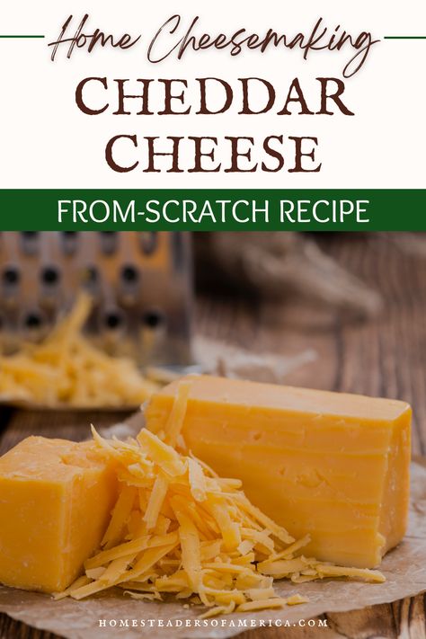 How To Make Cheddar Cheese, Diy Cheddar Cheese, Sharp Cheddar Cheese Recipes, Homemade Cheese Recipes, Homemade Cheddar Cheese, Home Made Cheese, Making Cheese At Home, Chedder Cheese, Cheese Recipes Homemade