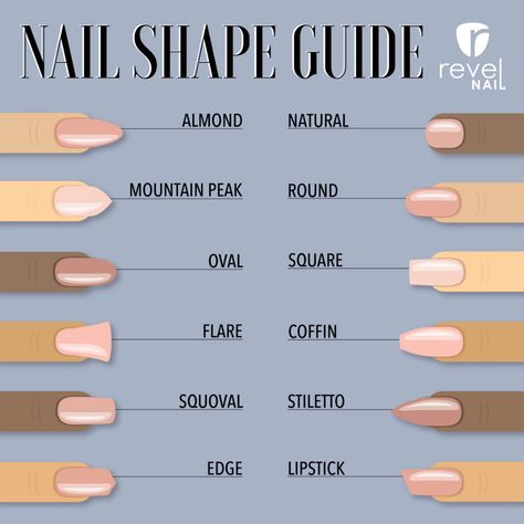 Nail Shape Guide, Types Of Nails Shapes, Revel Nail Dip, Opal Nails, Acrylic Nail Shapes, Different Nail Shapes, Powder Manicure, Almond Shape Nails, Popular Nails