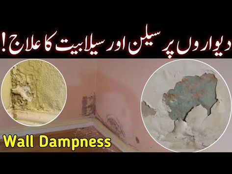 This video is about wall cracks repair, lanter cracks repair, lanter leakage, how to seal lanter and wall cracks at home. There are 4 main reasons of wall cracks (diwar ki darar): 1. Extension of lanter shades (extension of concrete slab) 2. wall on lanter without beam 3. Poor arrangement of bricks in wall (Fault of Mistry) 4. Not giving water to concrete or cement #wallcracks #cracksinwall #cracksrepair #lanterrepair #wallrepair Old Wall, Concrete Slab, Wall D, Diy Wall, Life Hacks, Home Improvement, Repair, Water, Wall