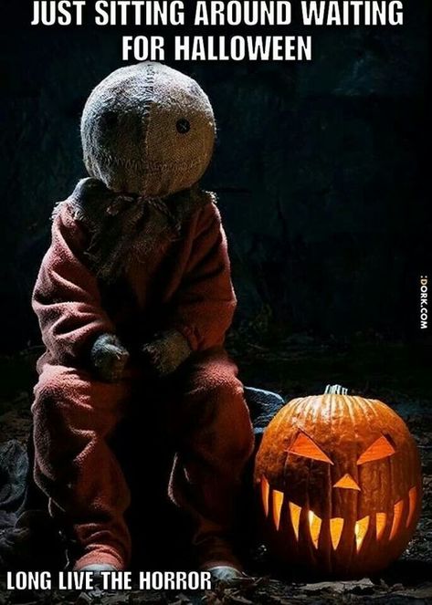 30 Hilarious Memes about Halloween | QuotesHumor.com Entrada Halloween, Outdoor Halloween Parties, Scary Halloween Decorations Outdoor, Halloween Decorations To Make, Halloween Diy Outdoor, Halloween Decorations Diy Outdoor, Trick R Treat, Halloween Prop, Manualidades Halloween