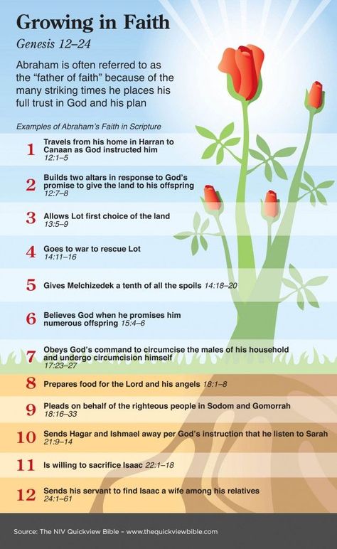 Growing in Faith:  Genesis 12 - 24 Bible Infographics, Biblical Themes, Growing In Faith, Quick View Bible, Illustrated Bible, Bible Study Help, Study Resources, Online Bible Study, Bible Study Tips