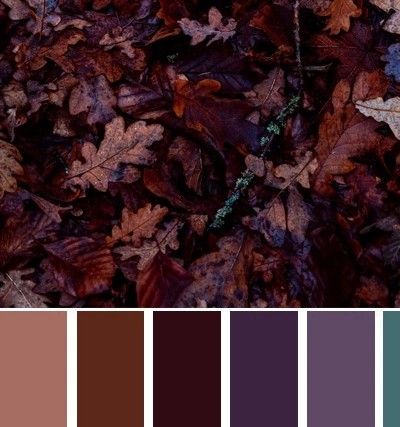 Purple And Brown Bedroom, Eggplant Color Palette, Plum Color Palettes, Dark Purple Color Palette, Plum Color Palette, Purple Living Room Ideas, Purple Room Aesthetic, Purple Living Room, Storybook House