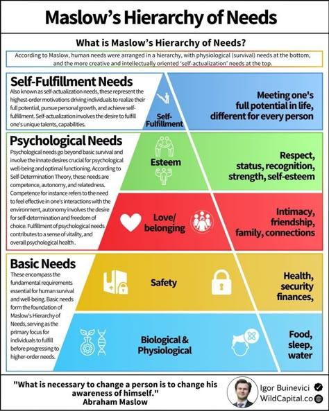 Business Infographics on LinkedIn: Maslow’s Hierarchy Of Needs

Credits to Igor Buinevici, follow him for… | 11 comments Digital Transformation Business, Maslow’s Hierarchy Of Needs, Group Therapy Activities, Medical Assistant Student, Personal Development Activities, Hierarchy Of Needs, Maslow's Hierarchy Of Needs, Psychology Studies, Business Infographics