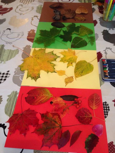 classer les feuilles d'automne par couleur Autumn Eyfs Activities, Autumn Eyfs, Høstaktiviteter For Barn, Decoration Creche, Forest School Activities, Fall Preschool Activities, Eyfs Activities, Tree Study, Fall Arts And Crafts