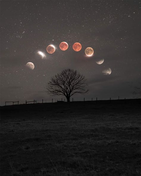 My best Lunar Eclipse shot from 2018! Eclipse Lunar, Moon Eclipse, Moon Photography, Phone Wallpaper Patterns, Lunar Eclipse, Pink Moon, Moon Goddess, Coven, Handsome Anime Guys