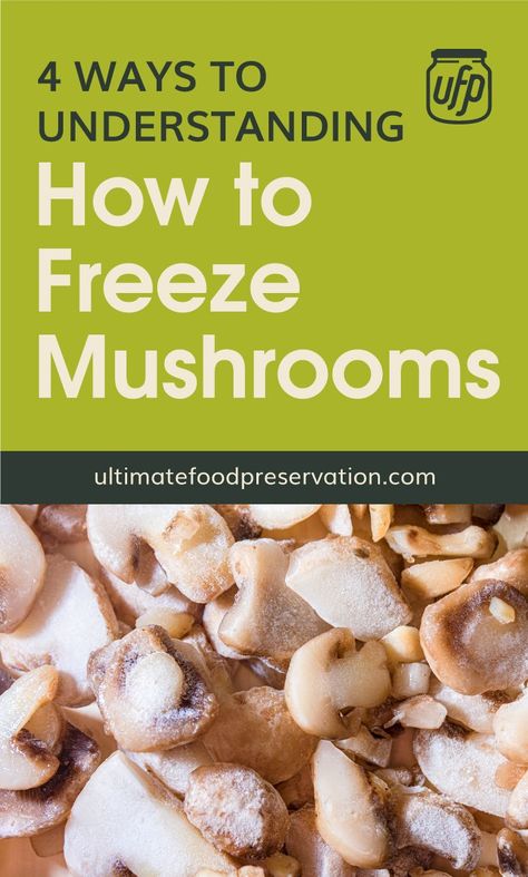 Preserve Mushrooms, How To Freeze Mushrooms, Can You Freeze Mushrooms, Frozen Mushrooms, Freezing Mushrooms, Puffball Mushroom, Mushrooms Recipes, Health Benefits Of Mushrooms, Food Shelf Life