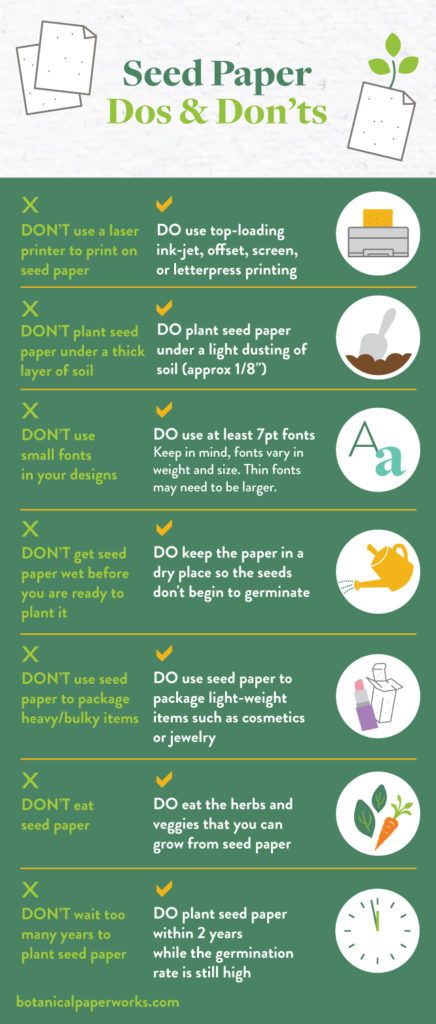 From printing to planting, here are some important things to remember when using seed paper. Paper Flower Diy Easy, Seed Paper Diy, Seed Paper Invitations, Craft Paper Flowers, Paper Flower Diy, Flower Seed Paper, Paper Flowers Diy Easy, Wildflower Seed Paper, Paper Craft For Kids