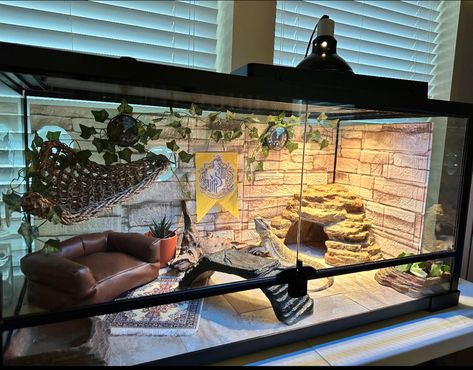 Best Bearded Dragon Enclosure, Lizard Tank Ideas Diy Bearded Dragon, Modern Reptile Enclosure, Cool Gecko Tanks, Gecko Cage Setup, Breaded Dragon Enclosure, Bearded Dragon Cage Setup, Cool Leopard Gecko Tanks, Cute Bearded Dragon Enclosure Ideas