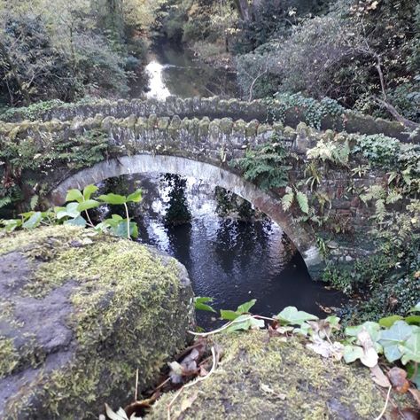 Jesmond dene Newcastle upon Tyne UK Bridge Aesthetic, Jesmond Dene, Garden Concept, England History, Nice Places, Newcastle Upon Tyne, Private Garden, Newcastle, Travel Inspiration