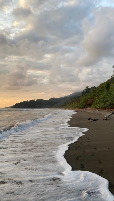 Beach With Forest, Ocean Forest Aesthetic, Forest And Beach Aesthetic, Forest Beach Aesthetic, Beach Forest Aesthetic, Forest Meets Ocean, Wild Beach Aesthetic, Backround Pics Aesthetic Landscape, Private Beach Aesthetic