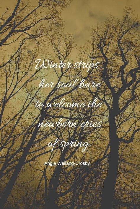 Nature Quotes Beautiful, Winter Poetry, Forest Quotes, Snowy Pictures, Snow Quotes, Nature Quotes Inspirational, Tree Quotes, Humanity Quotes, Season Quotes