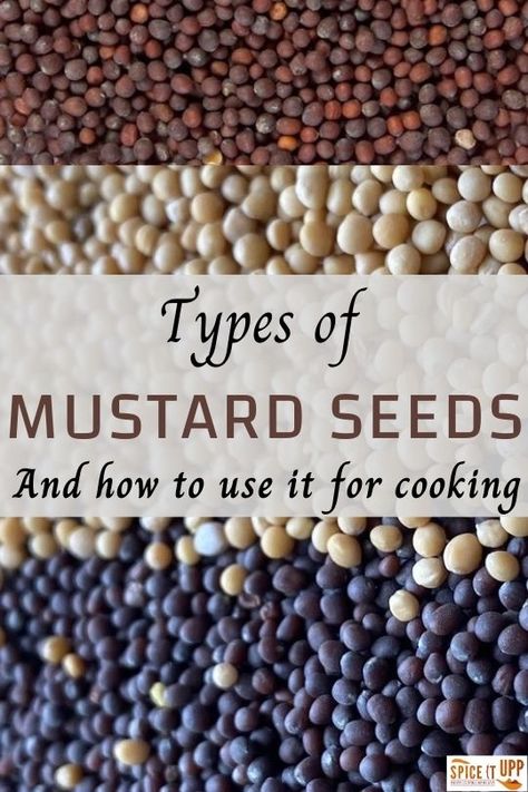 There are different types of mustard seeds that can be easily confused with the look alike sesame seeds, or poppy seeds. Click to learn more about each one of them and how to use it for cooking? Black Mustard Seeds Recipe, Mustard Seed Recipes, Pickled Mustard Seeds, Millennial Kitchen, Mustard Kitchen, Essential Spices, Black Mustard Seeds, Yellow Mustard Seeds, Homestead Kitchen