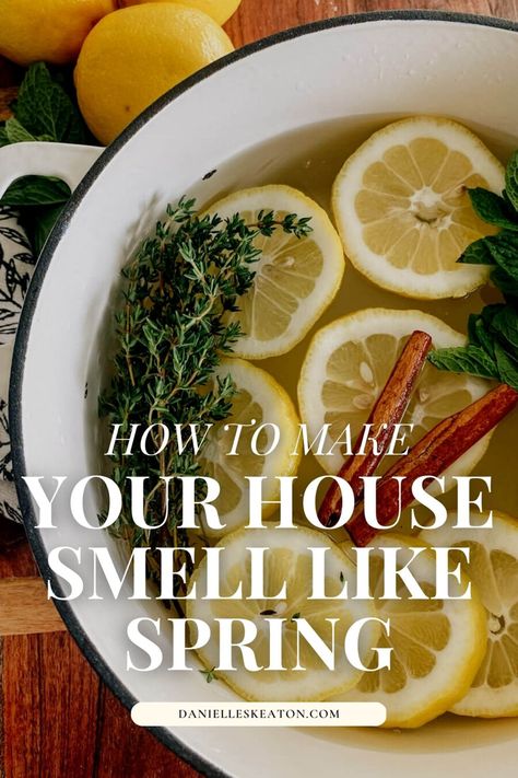 Simmer Scents, Scent Recipes, Make Your House Smell Amazing, House Schedule, Simmer Pots, Apartment Wishlist, Homemade Potpourri, Simmer Pot Recipes, Stove Top Potpourri