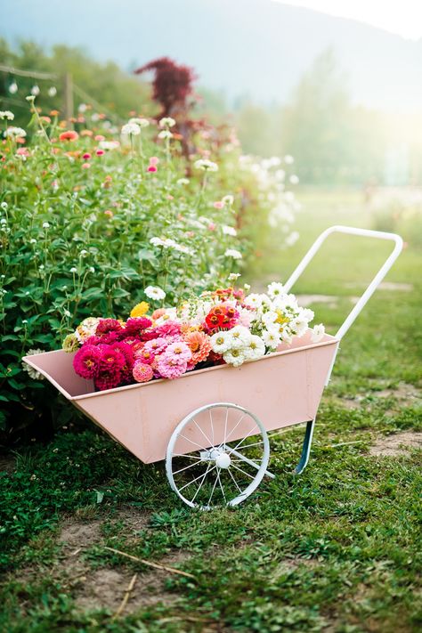 Cottage Core Garden, Flowers Farm, Farm Flowers, Cut Flower Farm, Flower Branding, Garden Cart, Farm Photography, Farm Wedding Venue, Flower Cart