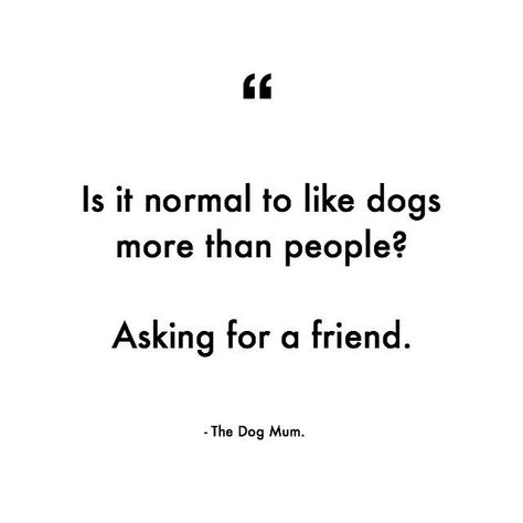 Is it normal to like dogs more than people? Asking for a friend.   The Dog Mum Quotes Girl And Her Dog Quotes, A Girl And Her Dog Quotes, Dog Birthday Quotes, Pampered Dogs, A Girl And Her Dog, Dog Mom Quotes, Girl And Her Dog, Awkward Questions, Mum Quotes