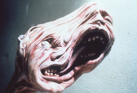 "The Thing" movie still, 1982.  Of the film's $15 million budget, $1.5 million was spent on Rob Bottin's creature effects, a mixture of chemicals, food products, rubber, and mechanical parts turned by his large team into an alien capable of taking on any form. The Thing 1982, John Carpenter, Scary Art, Creepy Art, Movie Monsters, Great Movies, Creature Design, The Thing, Horror Films