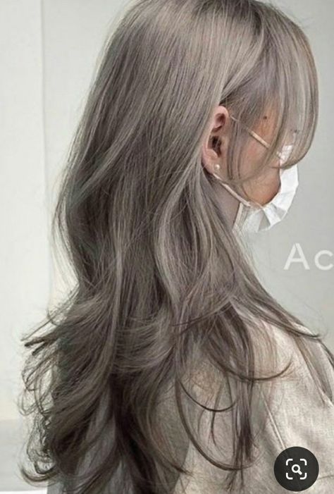 Titanium Silver Hair, Pinkish Grey Hair, Milktea Ash Gray Balayage, Ashy Silver Blonde Hair, Light Brown Grey Hair, Grey Wolf Cut, Cool Ash Highlights, Milktea Hair Color, Grey Blue Hair Color