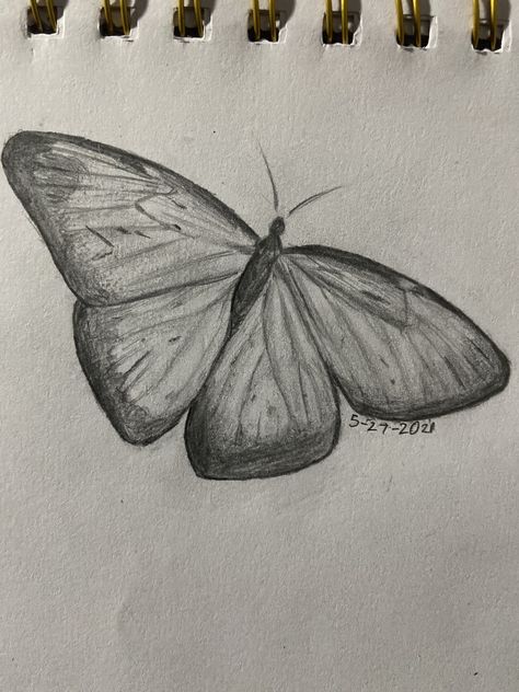 Cute Butterfly Sketch, Butterflies Drawings Easy, Two Butterflies Drawing, Sketch Ideas Butterfly, Butterfly Sketch Ideas, Butterfly Face Drawing, Butterfly Drawing Reference, Natural Forms Drawings, Art Sketches Butterfly