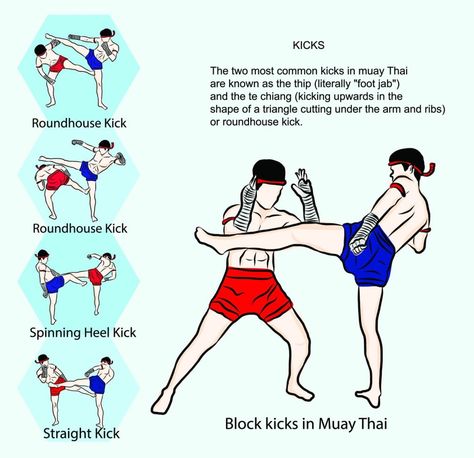 Muay Thai Techniques – All about Thai Boxing moves - Muay Thai Techniques Kicks Muay Thai Workouts, Muay Thai Techniques, Muay Boran, Muay Thai Martial Arts, Fighter Workout, Muay Thai Kicks, Mixed Martial Arts Training, Boxing Techniques, Martial Arts Quotes