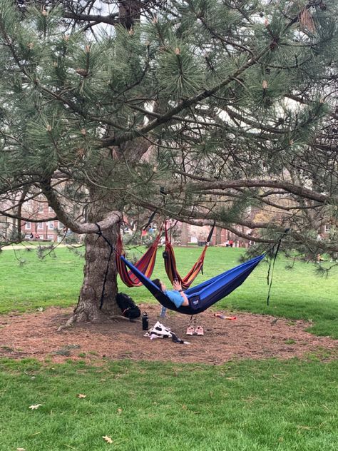 Hammock In Trees, Tree Net, Hammock Tree, Tree Hammock, Granola Aesthetic, Trees Nature, Woodland Baby, Baby Shower Woodland, One Tree