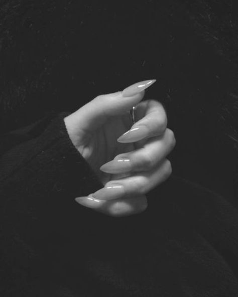 Acrylic Nails Natural, Moody Aesthetic, Sharp Nails, Southern Gothic, Hand Shapes, Beauty Tool, Coven, Black Nails, False Nails