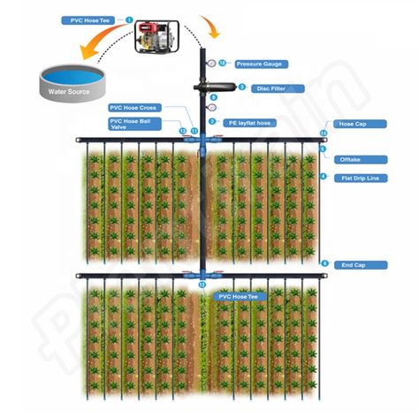 1 Hectare Design Agricultural Drip Irrigation System https://m.alibaba.com/product/60699170299/1-Hectare-Design-Agricultural-Drip-Irrigation.html?__sceneInfo={"cacheTime":"1800000","type":"appDetailShare"} Drip Irrigation System Design, Irrigation System Design, Drip Tape, Drip Irrigation System, System Design, Water Reservoir, Water Sources, Drip Irrigation, Water Saving