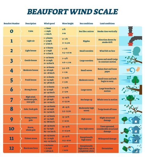 Image of the Beaufort scale for wind damage and speed. Beaufort Scale, Air Energy, Science Questions, Large Waves, Storm Surge, Weather Activities, Facts For Kids, Meteorology, Severe Weather