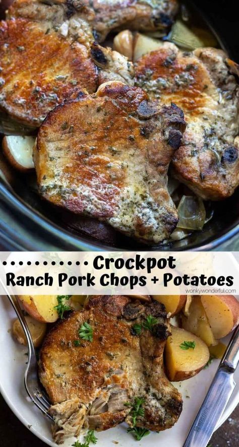 Crockpot Ranch Pork Chops and Potatoes is a super quick, easy and no-fuss weekday dinner recipe. Just drop everything in your slow cooker and forget about it. Slow cooker pork chops will be a new family favorite! #crockpotporkchops #crockpotranchporkchops #crockpotdinner #porkchopsandpotatoes #easydinner Ranch Pork Chops And Potatoes, Crockpot Ranch Pork Chops, Ranch Pork Chops Crock Pot, Pork Chop Recipes Crockpot, Pork Chops And Potatoes, Ranch Pork Chops, Pork Recipes For Dinner, Pork Chop Recipes Baked, Crockpot Pork Chops