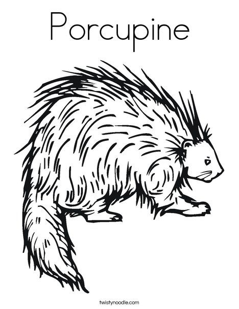 Porcupine Coloring Page from TwistyNoodle.com Kapok Tree, Student Crafts, Holiday Lettering, Kids Pages, Preschool Letters, Wood Images, Animal Coloring Pages, Alpha Patterns, Free Printable Coloring Pages