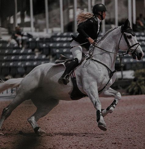 Horse Jumping Aesthetic, Show Jumping Aesthetic, Showjumping Aesthetic, Jumping Aesthetic, Jumping Horses, English Aesthetic, Show Jumping Horses, Freddy Carter, Free Rein