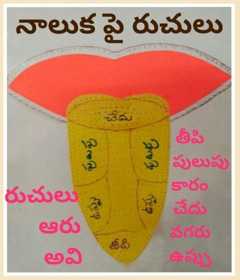 Evs Tlm, Tlm For Primary Classes, Telugu Tlm, Telugu Letters, Telugu Language, 5th Class, Alphabet Charts, Valentine Photo, Charts For Kids