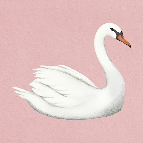 Bird Claws, Swan Sticker, Swan Illustration, Swan Aesthetic, Mute Swan, White Swan, Simple Illustration, Illustration Vector, Premium Vector