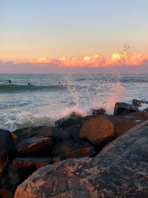 Delaware Seashore State Park: Images of a Beach Day – Natureside Haven Beach Shoreline, Park Images, Delaware Beaches, Indian River, Tide Pools, Delaware, State Park, Ecology, Beautiful Beaches