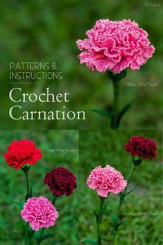 Crochet Carnation, Carnation Pattern, Flower Carnation, Crochet Flower Hat, Bouquet Crochet, Crochet Roses, Crochet Flower Pattern, Crochet Rose Pattern, Awesome Crochet