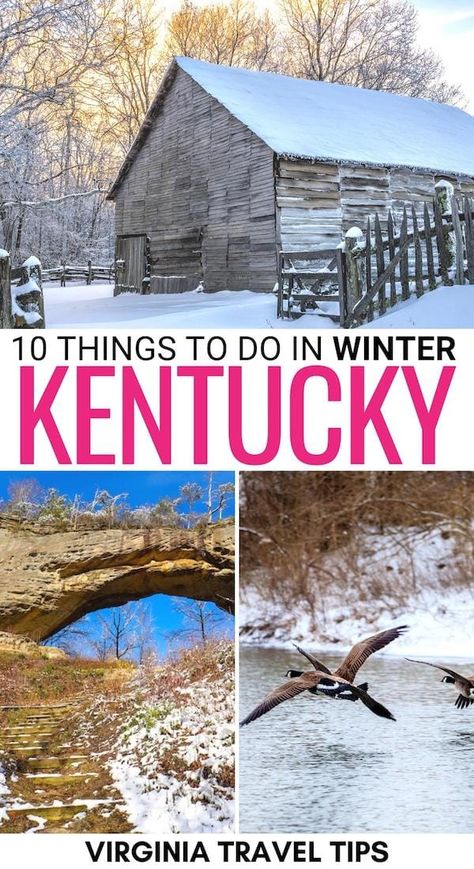 Things To Do In Kentucky Places To Visit, Christmas In Kentucky, Lexington Kentucky Things To Do, Cumberland Falls Kentucky, Things To Do In Kentucky, Visit Kentucky, Williamstown Kentucky, Travel Kentucky, Mammoth Cave Kentucky