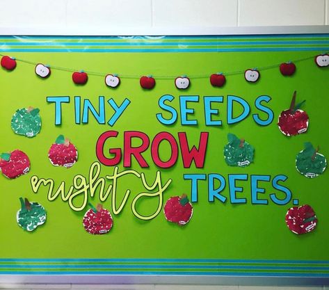 🍎 🍏 Tiny seeds grow MIGHTY trees. 🍎🍏 Does anyone start the year off with a back to school apple theme!? @buggyaboutkinder used… Tiny Seeds Grow Mighty Trees, Infant Bulletin Board, Apple Bulletin Boards, Daycare Bulletin Boards, September Bulletin Boards, Toddler Bulletin Boards, School Bulletin Board Ideas, Bulletin Board Tree, Classroom Tree