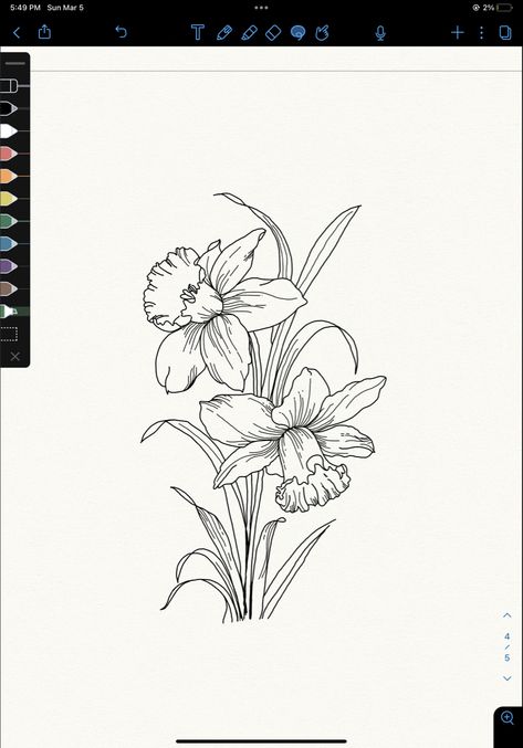 Daffodil Outline Drawing, Bunch Of Daffodils Tattoo, Daffodil Tattoo Outline, Poppy And Narcissus Flower Tattoo, Tattoo Ideas Daffodil, Daffodil Tattoo Stencil, Daffodil Botanical Illustration, Dafodill Flowers Drawing, Narcisse Flower