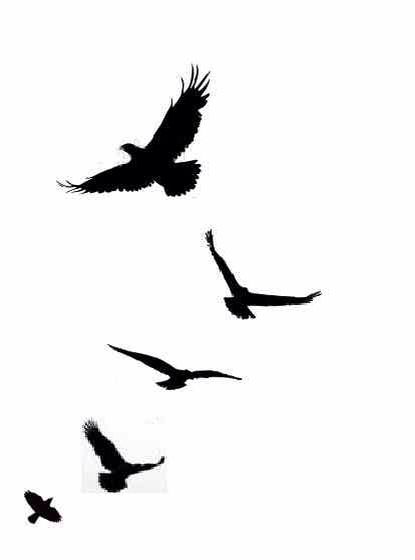 Bird Silhouette Tattoos, Small Eagle Tattoo, Mundo Hippie, Bird Tattoo Men, Vogel Silhouette, Eagle Silhouette, Black Bird Tattoo, Flying Bird Tattoo, Half Sleeve Tattoos Drawings