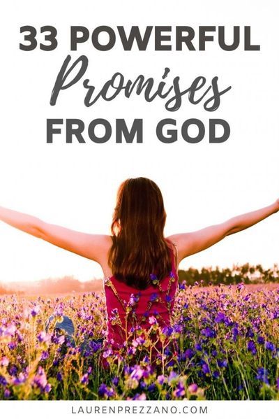 Promises Of God Scriptures, Bible Promises Scriptures, God Scriptures, Promise Quotes, Bible Studying, God Promises, Holy Spirit Come, Promises Of God, Bible Studies For Beginners