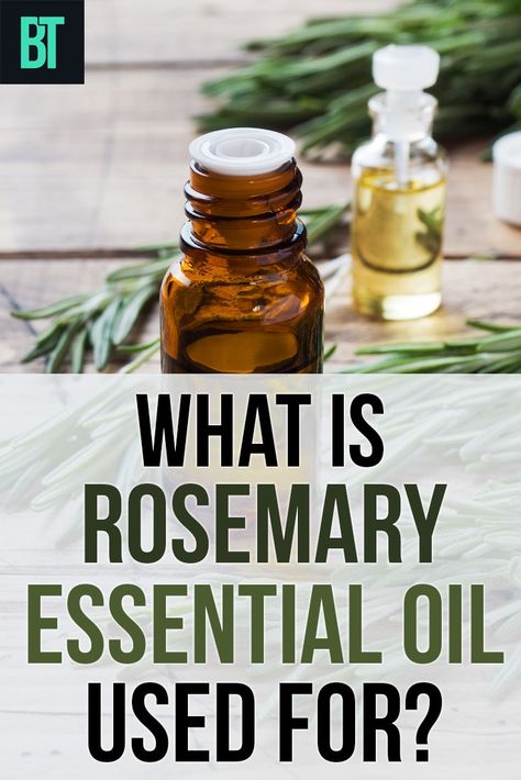 Uses For Rosemary, Rosemary Water, Rosemary Oil For Hair, Rosemary Essential Oil, Great Health, Essential Oils For Skin, Essential Oils For Hair, Essential Oil Benefits, Rosemary Oil