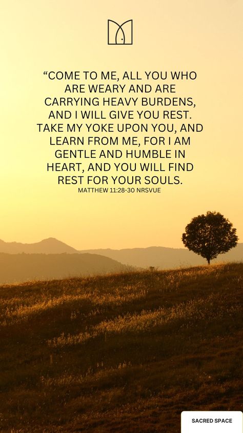 “Come to me, all you who are weary and are carrying heavy burdens, and I will give you rest. 29 Take my yoke upon you, and learn from me, for I am gentle and humble in heart, and you will find rest for your souls. 30 For my yoke is easy, and my burden is light.”  Matthew 11:28-30 NRSVue  #rest #trust #gentle #humble Come To Me All Who Are Weary, Scripture Promises, My Burden Is Light, Quiet Spirit, Bible Reflection, Matthew 11 28 30, Bible Truths, Heavy Burden, Quotes Prayer