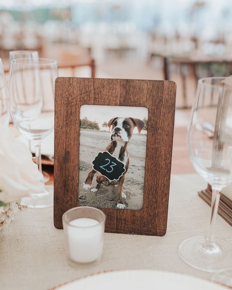 28 Meaningful Ways to Honor a Pet at Your Wedding #PetsatWedding #AnimalsatWedding #WeddingInspiration #WeddingIdeas | Martha Stewart Weddings Wedding Cocktail Table Decor, Creative Wedding Table Numbers, Unique Table Numbers Wedding, Wedding Table Planner, Wedding Cocktail Tables, Cocktail Table Decor, Photo Table Numbers, Wedding Table Themes, Picture Table