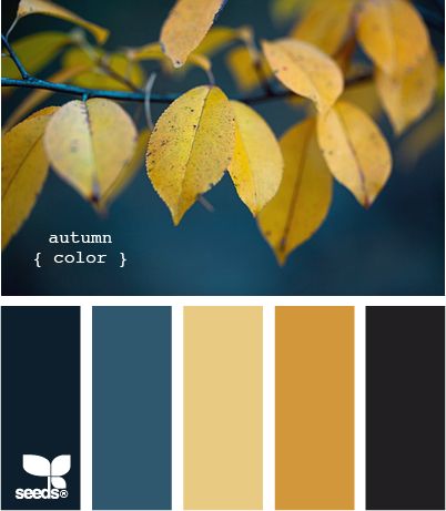 Autumn Color Scheme- replace dark brown with gray--We have a winner here! Design Seed, Family Room Colors, Trendy Living Rooms, Design Seeds, Blue Color Schemes, Rv Camping, Color Stories, Kitchen Colors, Colour Schemes